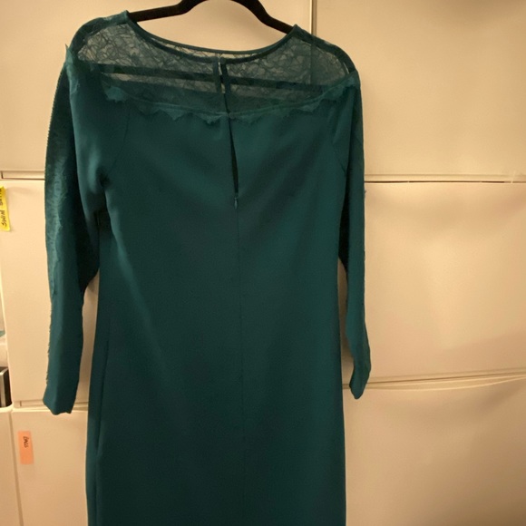 Deep green lace-detailed midi dress by Reiss - Picture 3 of 6